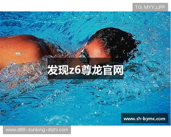 揭秘尊龙z6官网国际版的独特优势与功能特色